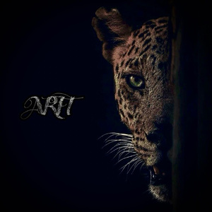 宝贝你真紧快夹断了的漫画
